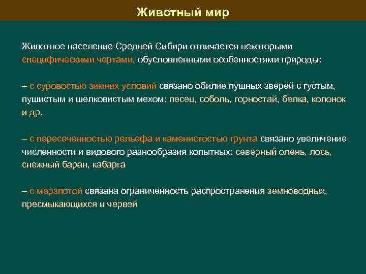 Животный мир Животное население Средней Сибири отличается некоторыми специфическими чертами, обусловленными особенностями природы: –
