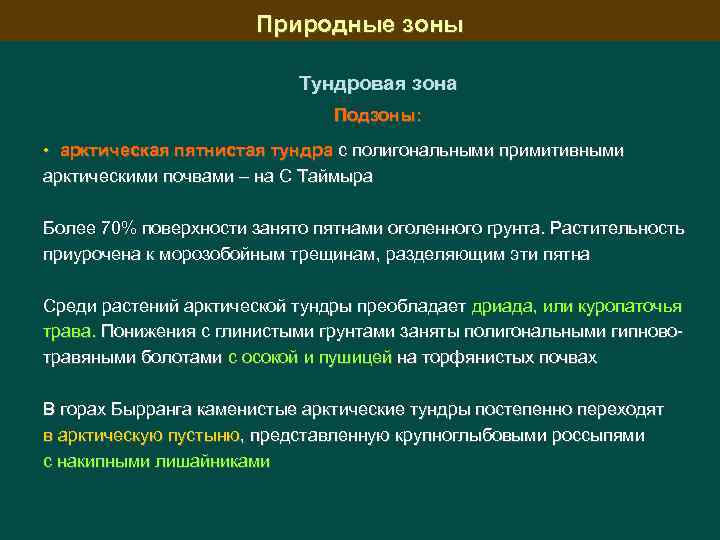 Природные зоны Тундровая зона Подзоны: • арктическая пятнистая тундра с полигональными примитивными арктическими почвами