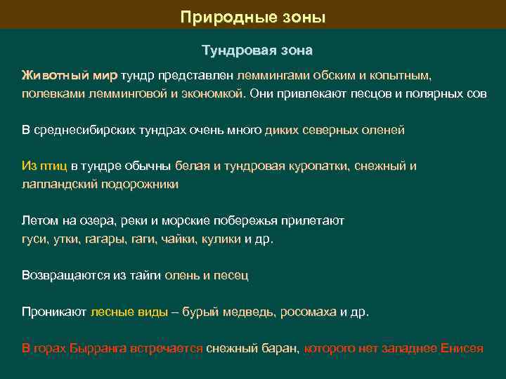 Природные зоны Тундровая зона Животный мир тундр представлен леммингами обским и копытным, полевками лемминговой