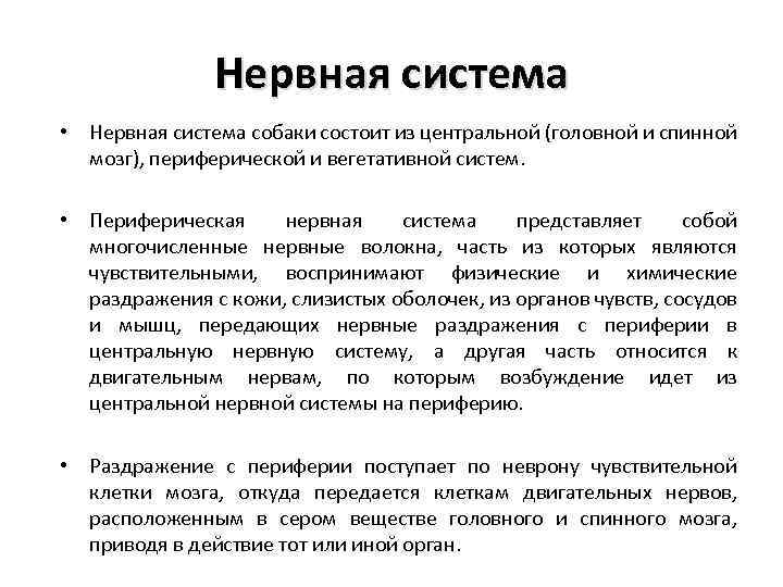 Нервная система • Нервная система собаки состоит из центральной (головной и спинной мозг), периферической
