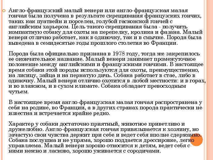  Англо-французский малый венери или англо-французская малая гончая была получена в результате скрещивания французских