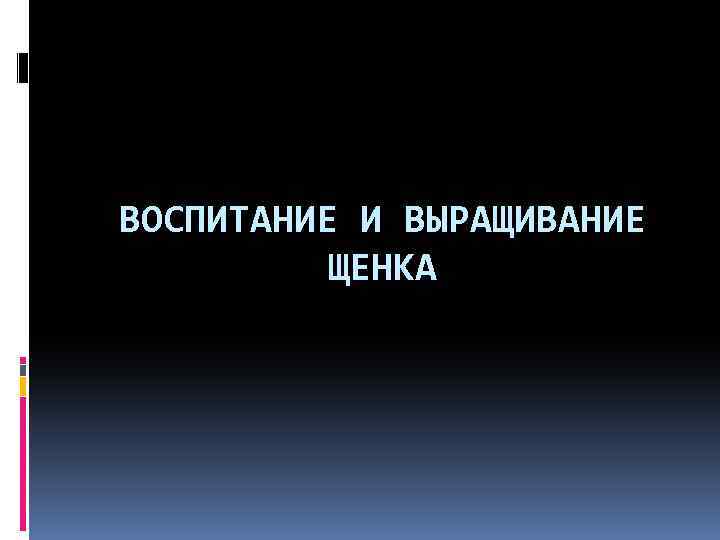 ВОСПИТАНИЕ И ВЫРАЩИВАНИЕ ЩЕНКА 