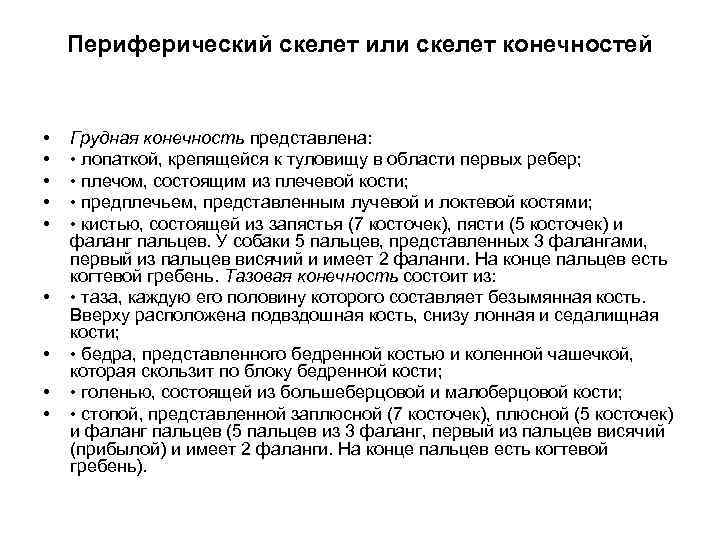 Периферический скелет или скелет конечностей • • • Грудная конечность представлена: • лопаткой, крепящейся