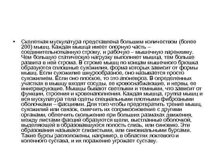  • Скелетная мускулатура представлена большим количеством (более 200) мышц. Каждая мышца имеет опорную