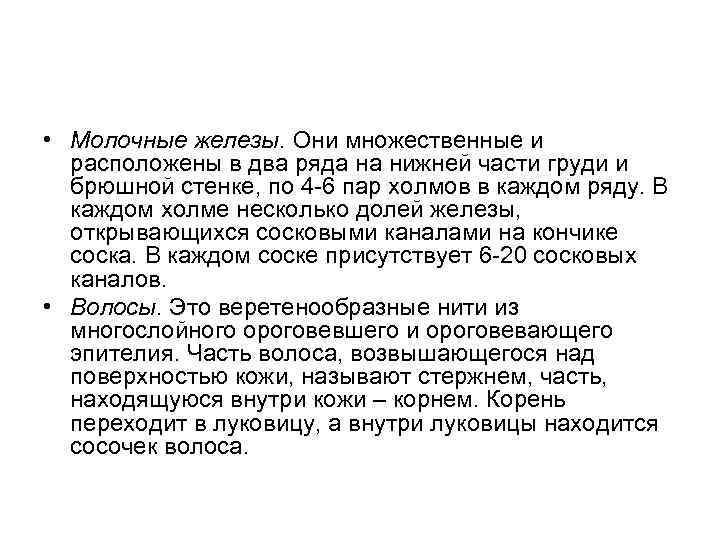  • Молочные железы. Они множественные и расположены в два ряда на нижней части