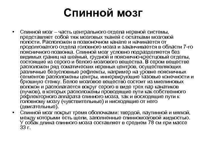 Спинной мозг • • Спинной мозг – часть центрального отдела нервной системы, представляет собой