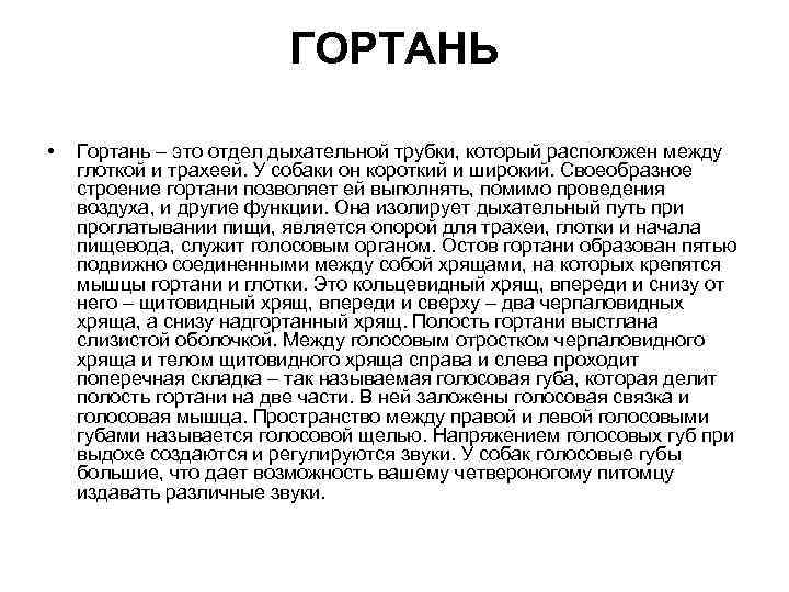 ГОРТАНЬ • Гортань – это отдел дыхательной трубки, который расположен между глоткой и трахеей.