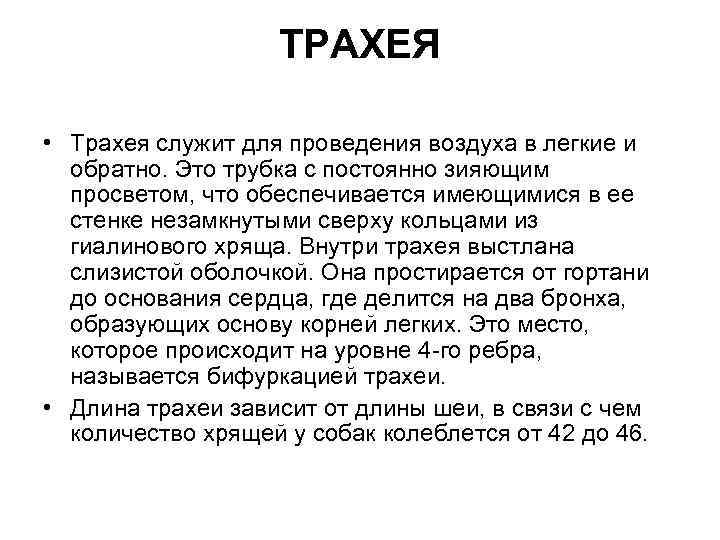 ТРАХЕЯ • Трахея служит для проведения воздуха в легкие и обратно. Это трубка с