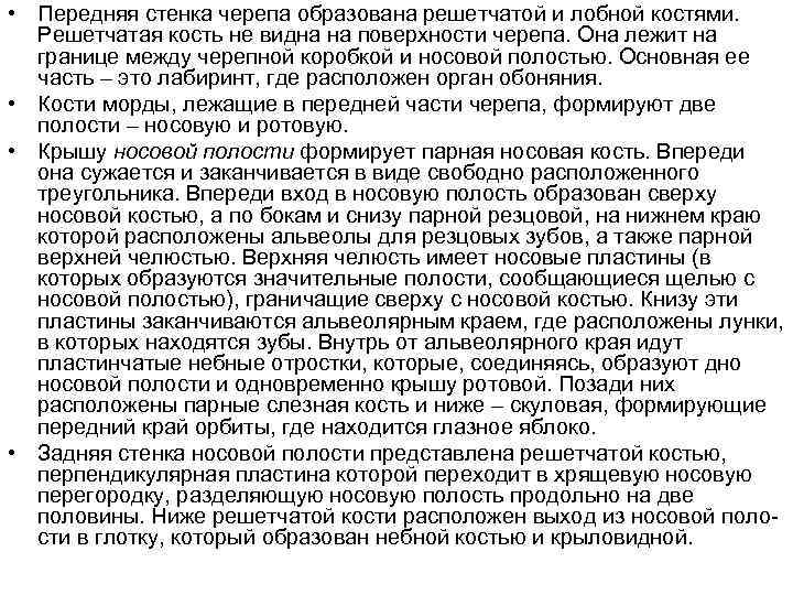  • Передняя стенка черепа образована решетчатой и лобной костями. Решетчатая кость не видна