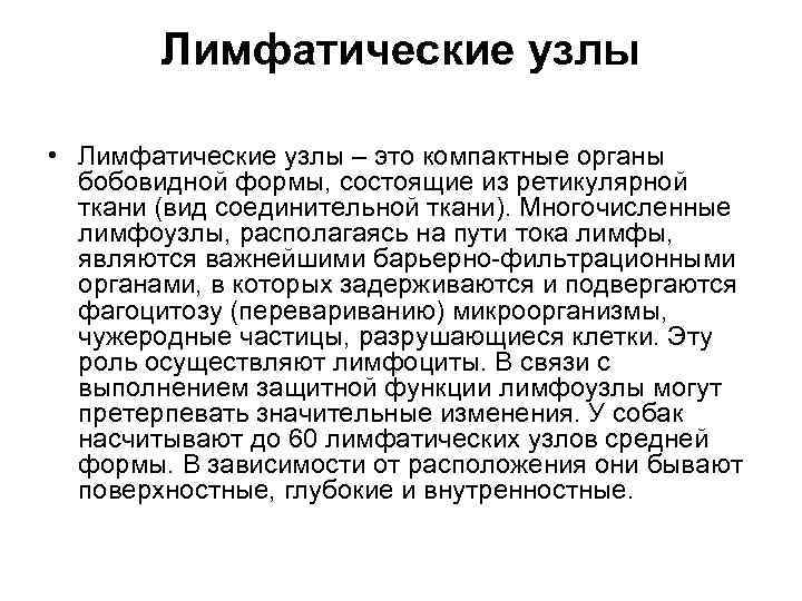 Лимфатические узлы • Лимфатические узлы – это компактные органы бобовидной формы, состоящие из ретикулярной