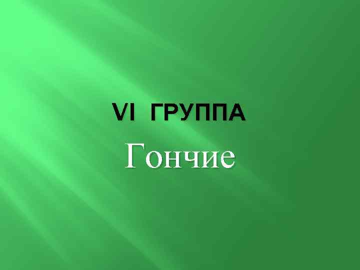 Группа 6 1. 6 Группа. 6. 6 Группа гончие.