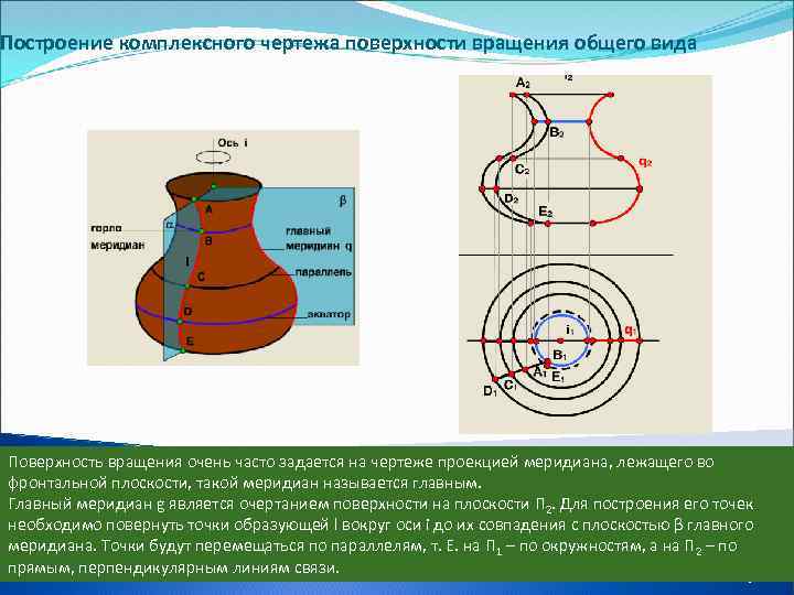 Экватором поверхности вращения показанной на чертеже является линия