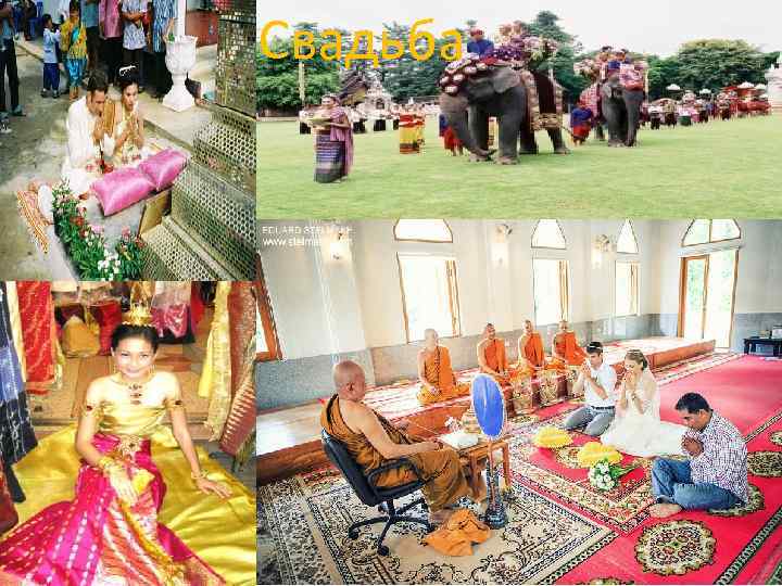 Свадьба 