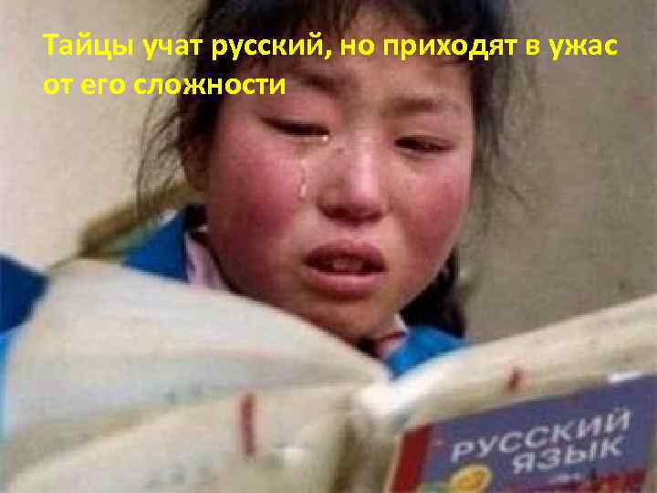 Тайцы учат русский, но приходят в ужас от его сложности 