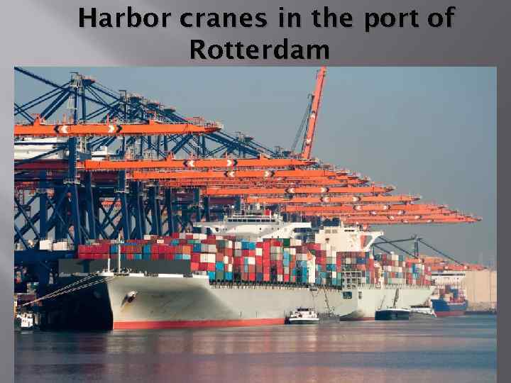 Harbor cranes in the port of Rotterdam 