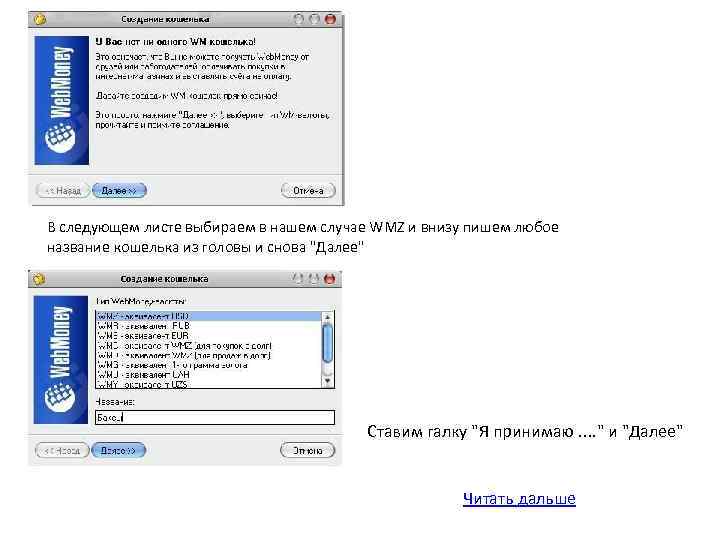 В следующем листе выбираем в нашем случае WMZ и внизу пишем любое название кошелька
