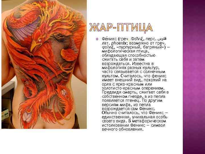  Фе никс (греч. Φοῖνιξ, перс. ﻗﻘﻨﻮﺱ лат. phoenix; возможно от греч. φοίνιξ, «пурпурный,