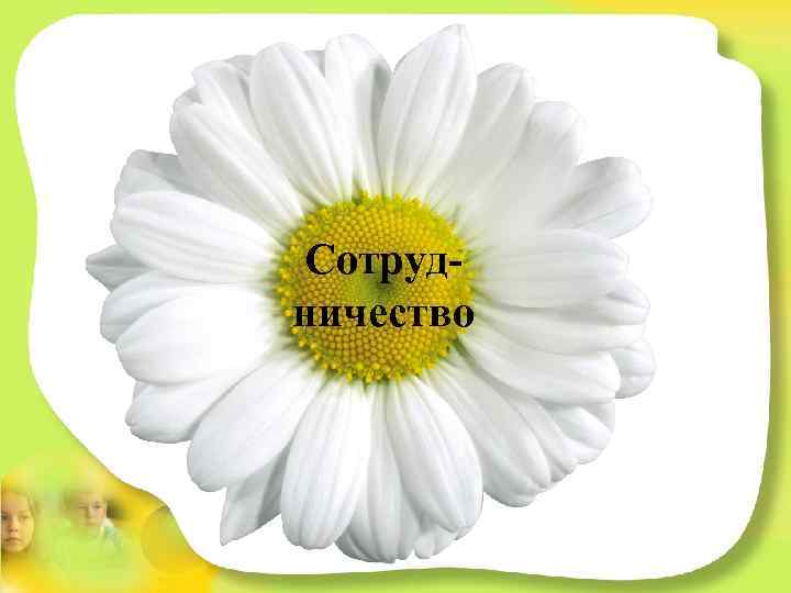 Сотрудничество 