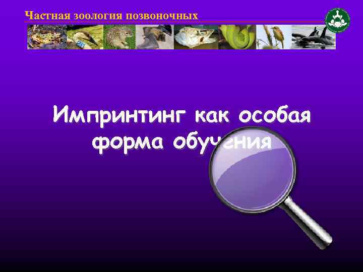 Частная зоология позвоночных Импринтинг как особая форма обучения 