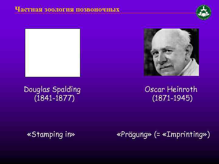 Частная зоология позвоночных Douglas Spalding (1841 -1877) «Stamping in» Oscar Heinroth (1871 -1945) «Prägung»