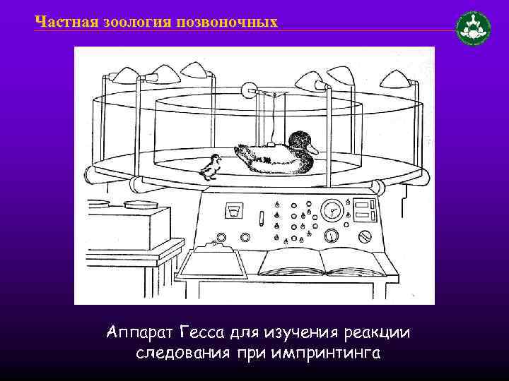 Частная зоология позвоночных Аппарат Гесса для изучения реакции следования при импринтинга 