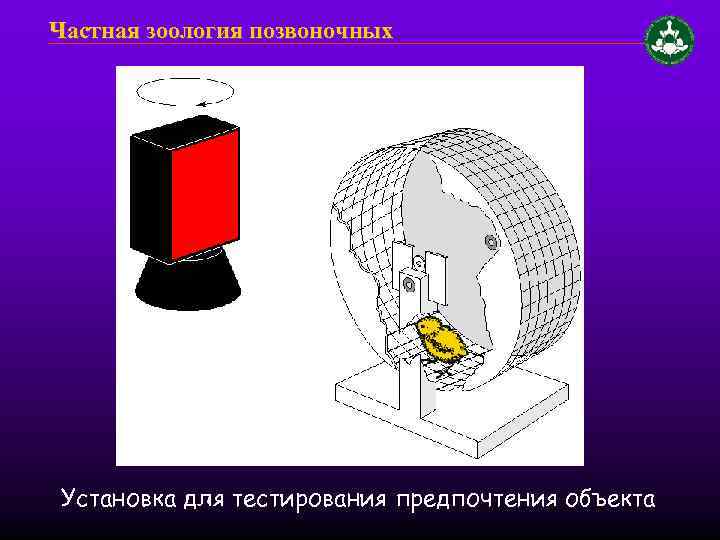 Частная зоология позвоночных Установка для тестирования предпочтения объекта 