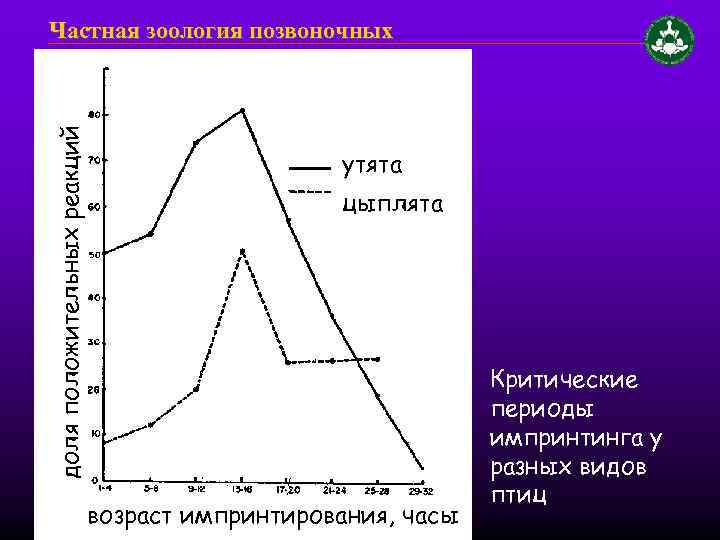 доля положительных реакций Частная зоология позвоночных утята цыплята возраст импринтирования, часы Критические периоды импринтинга