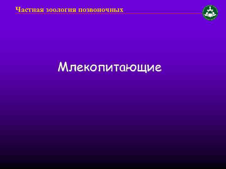 Частная зоология позвоночных Млекопитающие 