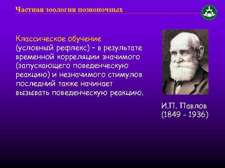 Частная зоология позвоночных Классическое обучение (условный рефлекс) – в результате временной корреляции значимого (запускающего