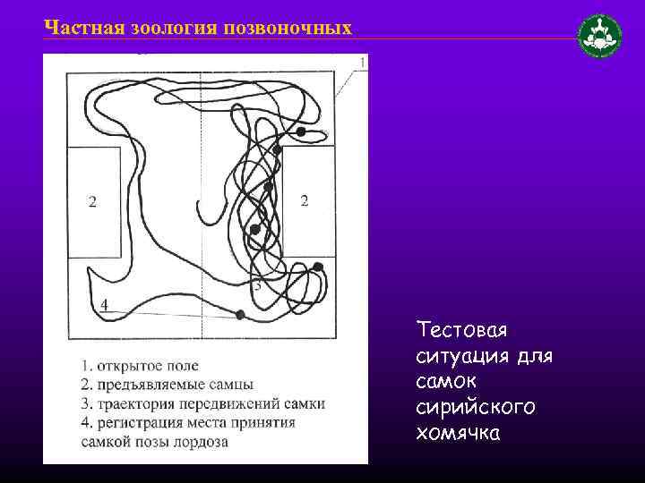 Частная зоология позвоночных Тестовая ситуация для самок сирийского хомячка 