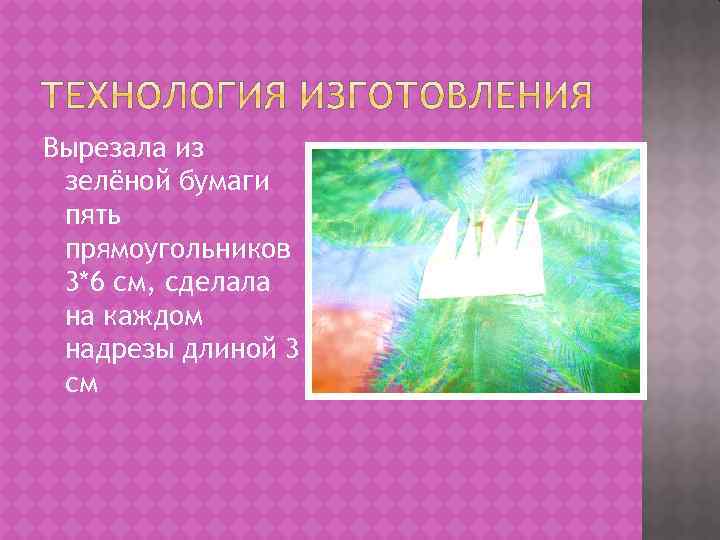 Вырезала из зелёной бумаги пять прямоугольников 3*6 см, сделала на каждом надрезы длиной 3