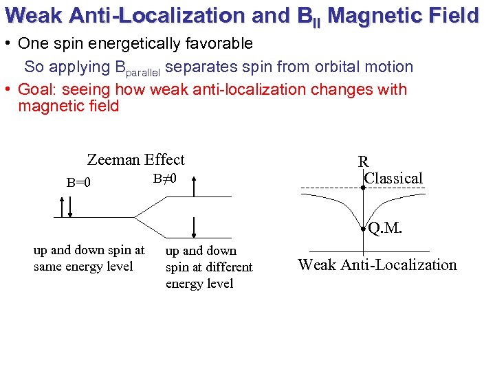 Weak Anti-Localization and Bll Magnetic Field • One spin energetically favorable So applying Bparallel