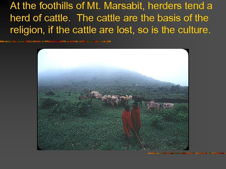 At the foothills of Mt. Marsabit, herders tend a herd of cattle. The cattle