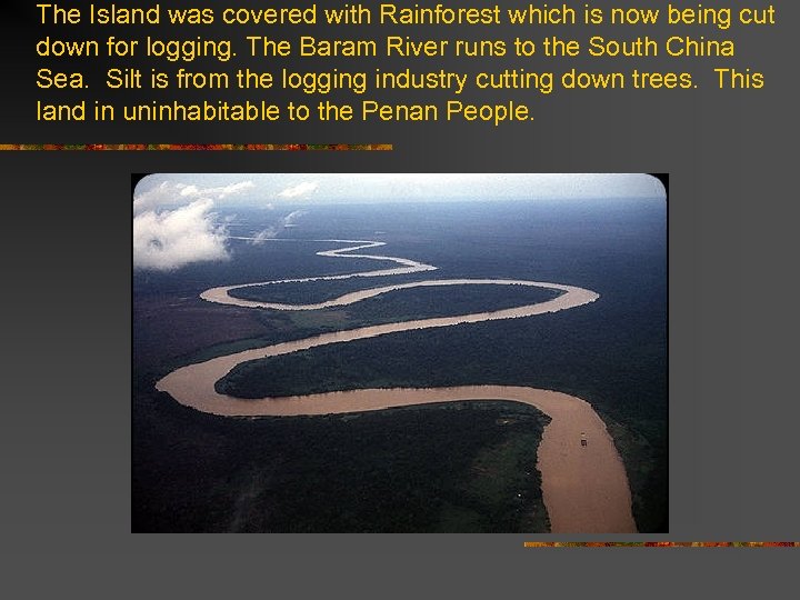 The Island was covered with Rainforest which is now being cut down for logging.
