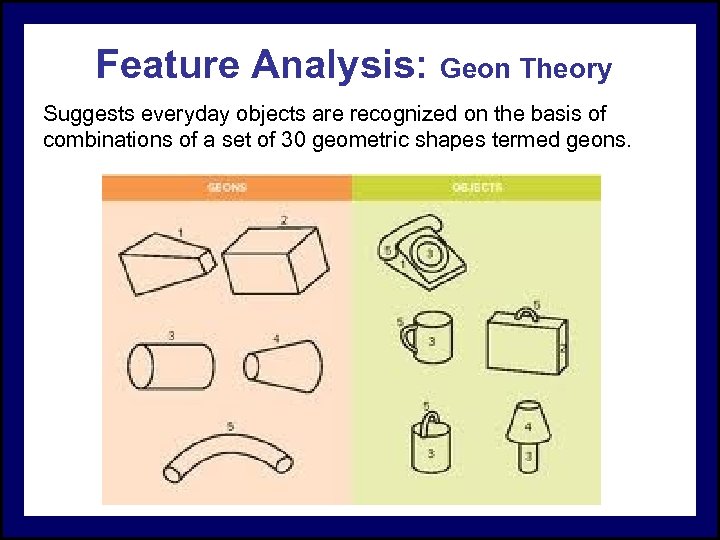 Feature Analysis: Geon Theory Suggests everyday objects are recognized on the basis of combinations