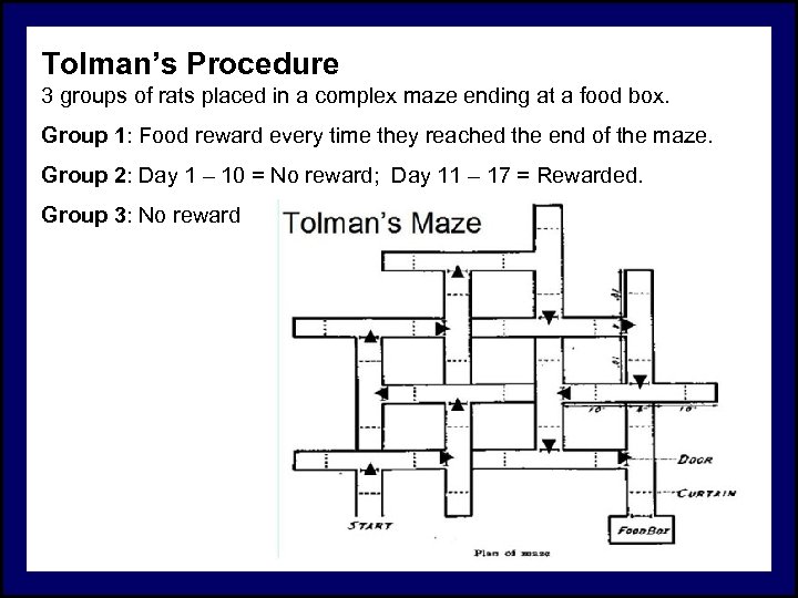 Tolman’s Procedure 3 groups of rats placed in a complex maze ending at a