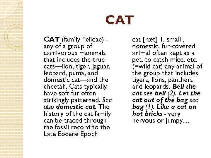 CAT (family Felidae) any of a group of carnivorous mammals that includes the true