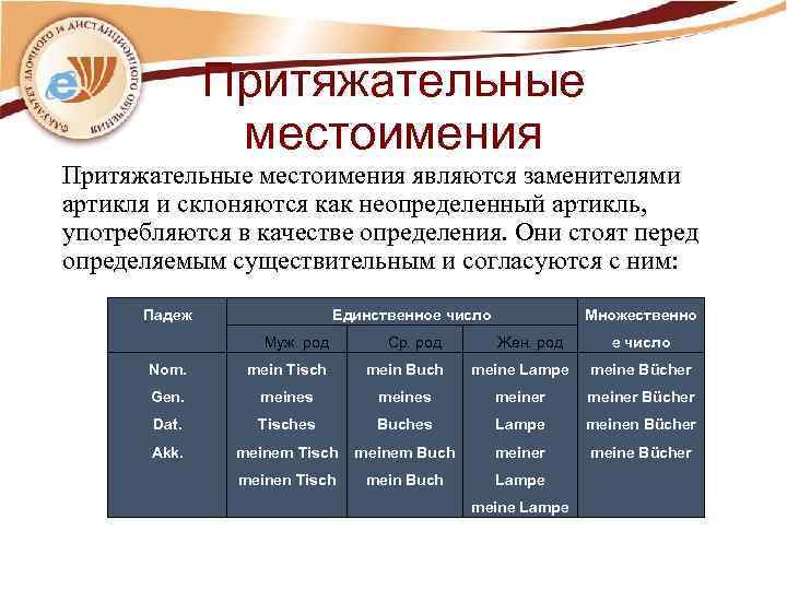 Притяжательные местоимения являются заменителями артикля и склоняются как неопределенный артикль, употребляются в качестве определения.