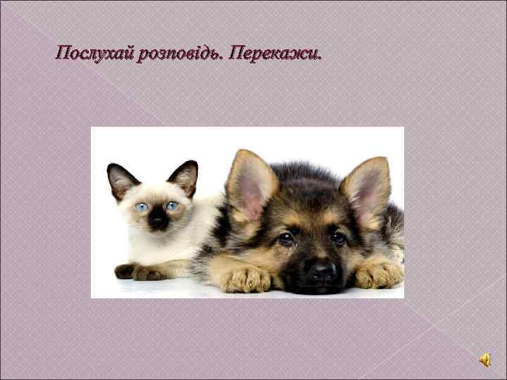 Послухай розповідь. Перекажи. 