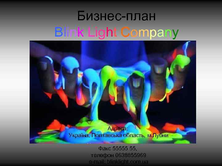 Бизнес-план Blink Light Company Адреса: Україна, Полтавська область, м. Лубни Факс 55555 55, телефон