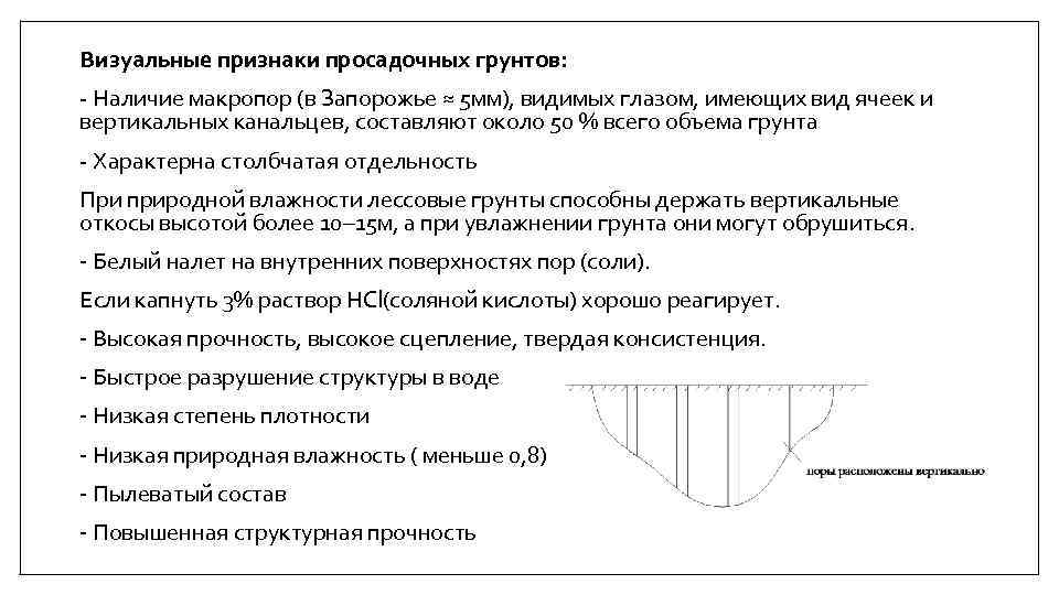 Визуальные признаки просадочных грунтов: - Наличие макропор (в Запорожье ≈ 5 мм), видимых глазом,