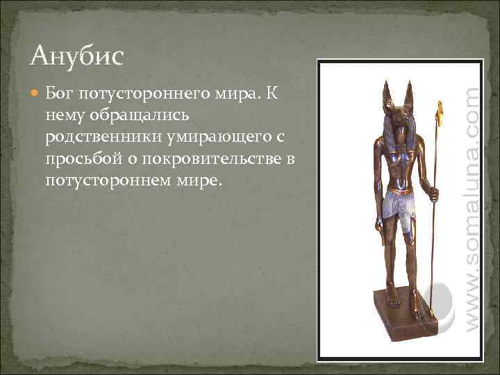 Анубис Бог потустороннего мира. К нему обращались родственники умирающего с просьбой о покровительстве в