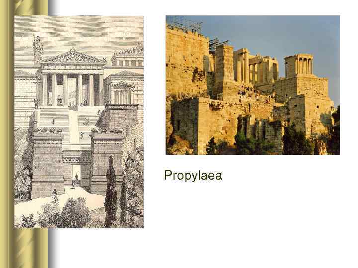 Propylaea 