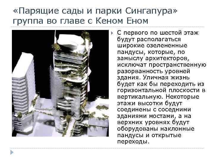  «Парящие сады и парки Сингапура» группа во главе с Кеном Еном С первого