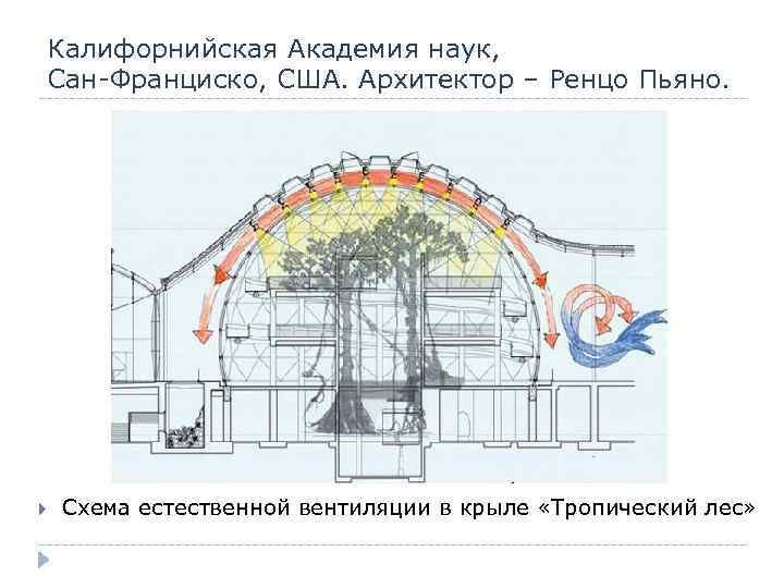 Калифорнийская Академия наук, Сан-Франциско, США. Архитектор – Ренцо Пьяно. Схема естественной вентиляции в крыле