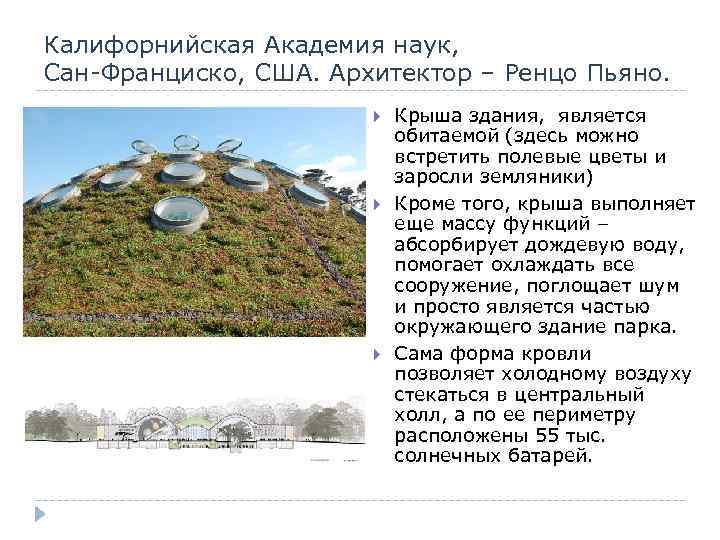 Калифорнийская Академия наук, Сан-Франциско, США. Архитектор – Ренцо Пьяно. Крыша здания, является обитаемой (здесь