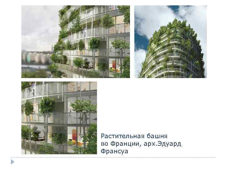 Растительная башня во Франции, арх. Эдуард Франсуа 