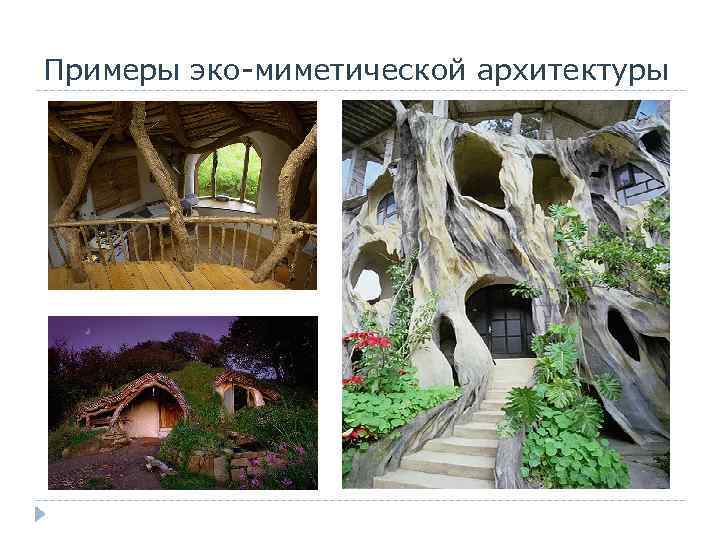 Примеры эко-миметической архитектуры 