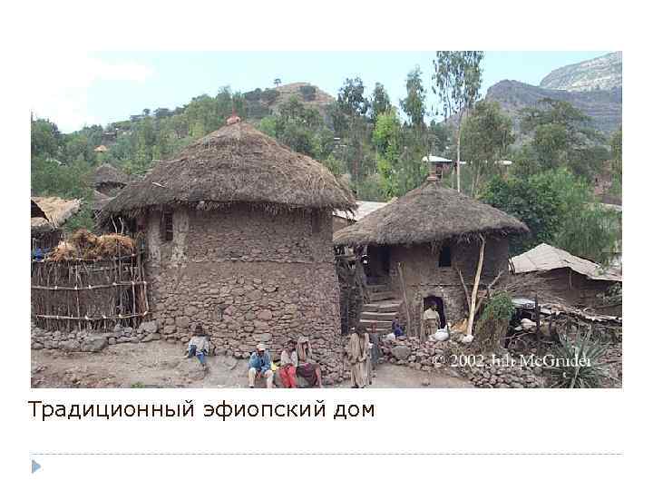 Традиционный эфиопский дом 