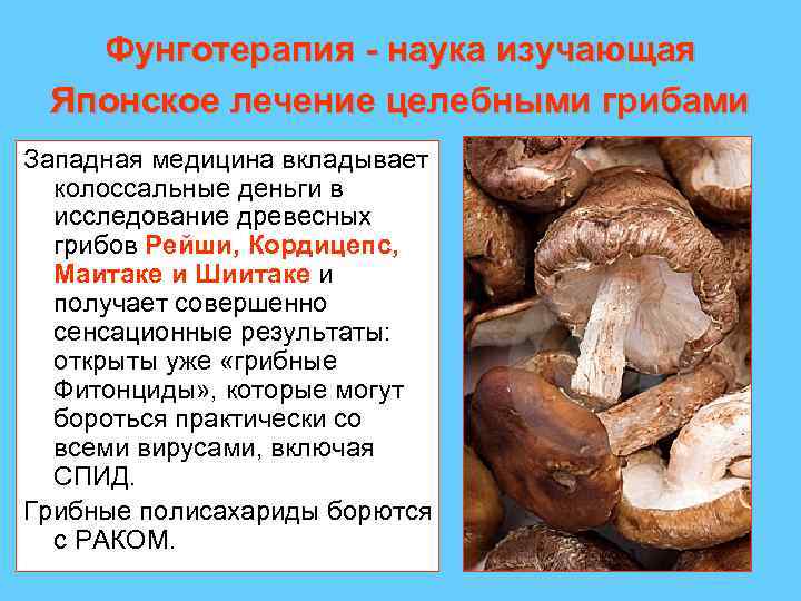 Фунготерапия - наука изучающая Японское лечение целебными грибами Западная медицина вкладывает колоссальные деньги в